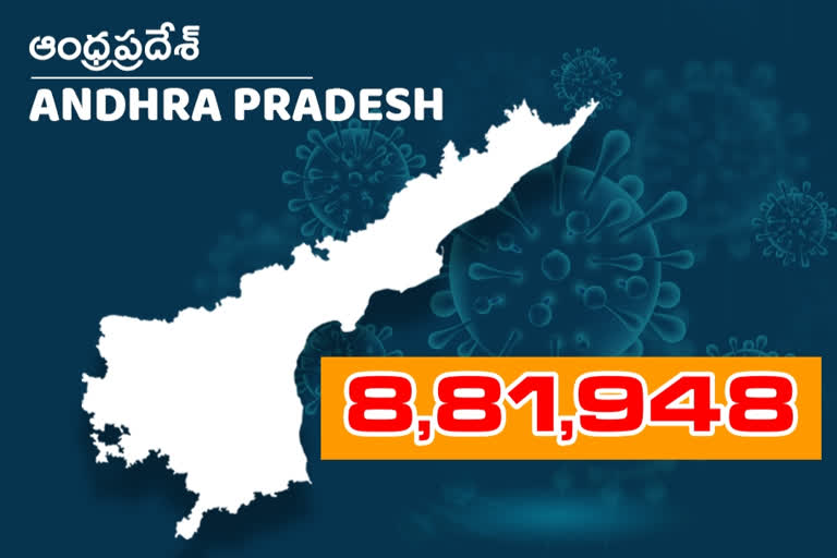 corona cases registered in andhrapradhesh at wednesday