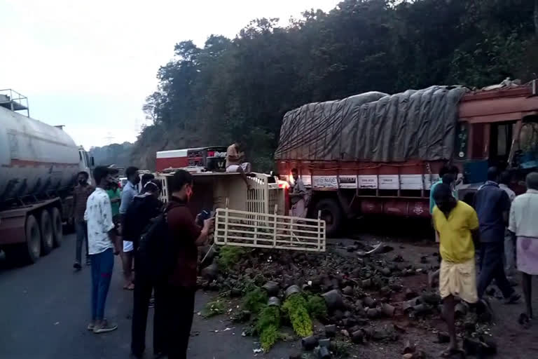 കുതിരാനിൽ ഏഴ് വാഹനങ്ങൾ തമ്മിൽ കൂട്ടിയിടിച്ച് അപകടം; മൂന്ന് പേർ മരിച്ചു  മൂന്ന് പേർ മരിച്ചു  കുതിരാൻ  തൃശൂർ  KUTHIRAN ACCIDENT  ACCIDENT  KUTHIRAN