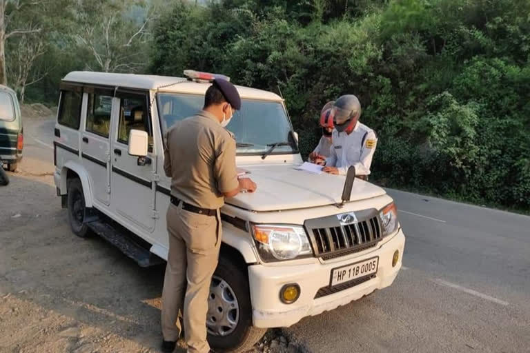 tourists in solan