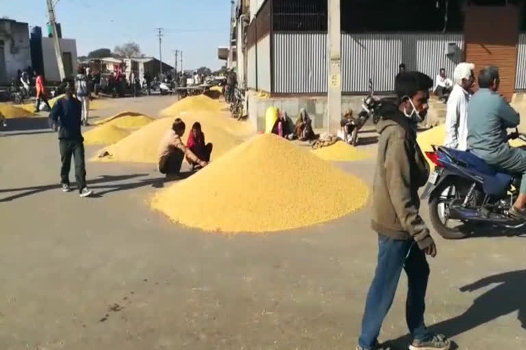 प्रतापगढ़ की ताजा हिंदी खबरें, Garlic and Onion Market