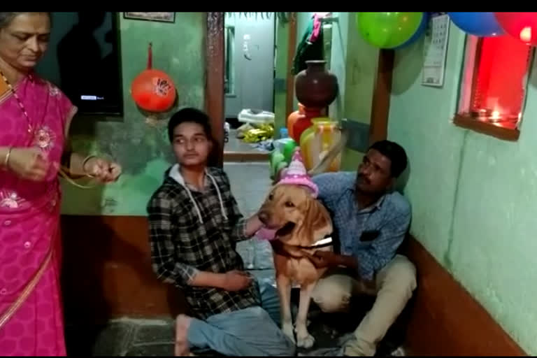 Tifin distributed to two hundred people on dog birthday