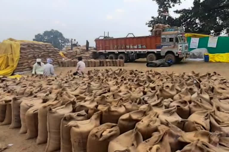 Action taken in Balaghat under new agricultural laws