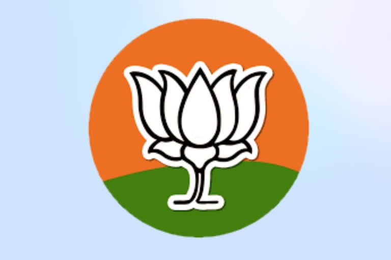 bjp mahila morcha state committee