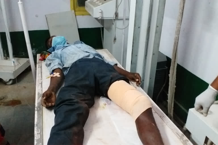 A bear attack has created a stir in Kumarakom Bhim district