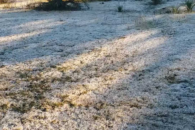 possibility of frost on crops