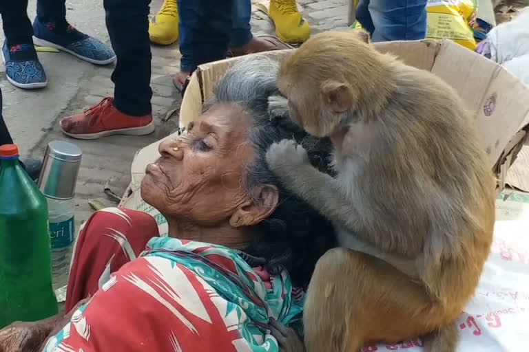 बिहार की ताजा खबर