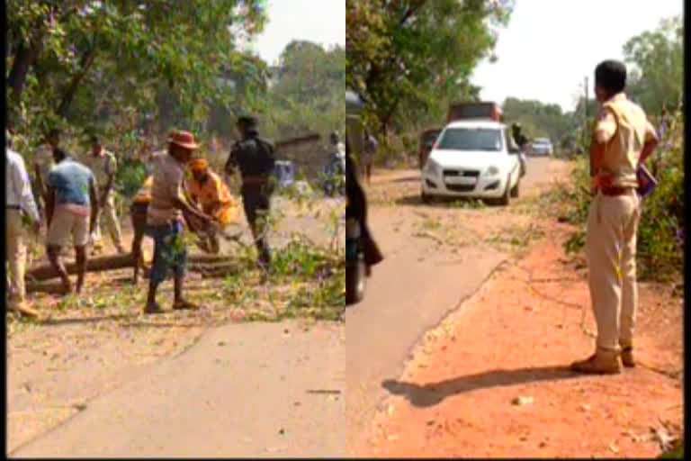 thousands-of-trees-will-cut-off-for-road-construction-wotrk-in-udupi