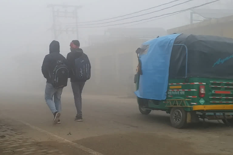 cold weather in budaun new year's day