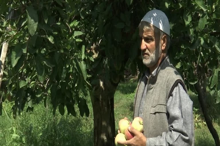 जम्मू और कश्मीर में बागवानी को बढ़ावा देने के लिए राज्य सरकार और नैफेड की बीच हुआ समझौता