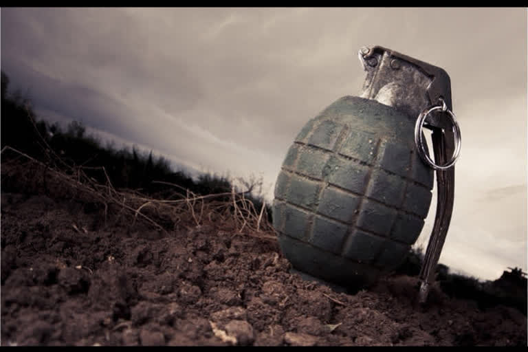 grenade attack on ssb camp in srinagar  എസ്എസ്ബി ക്യാമ്പിനുനേരെ ഗ്രനേഡ് ആക്രമണം  സശസ്‌ത്ര സീമ ബൽ  14 ബറ്റാലിയൻ ക്യമ്പ്