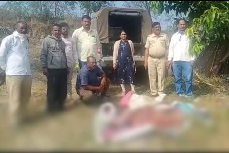 wild-boar-meat-seized-in-a-village-in-satara-district