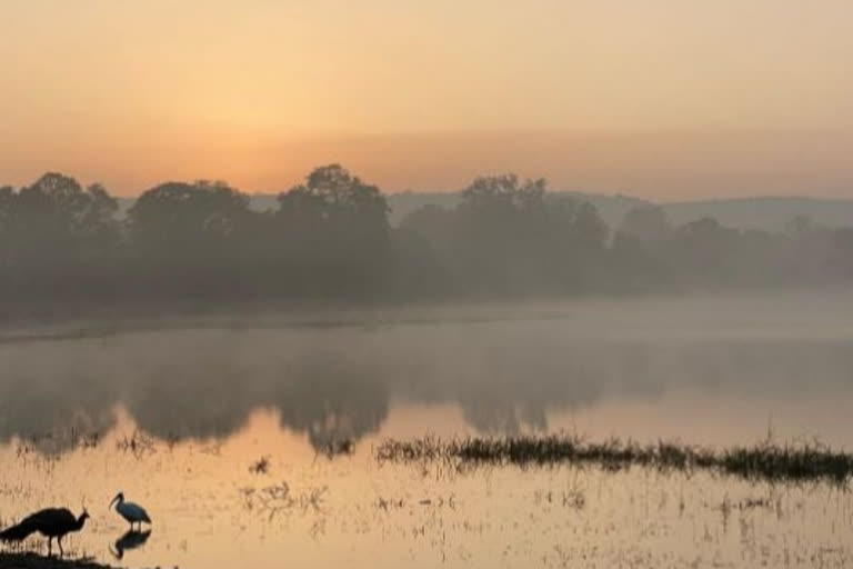 Ranveer Singh shares first picture from Ranthambore