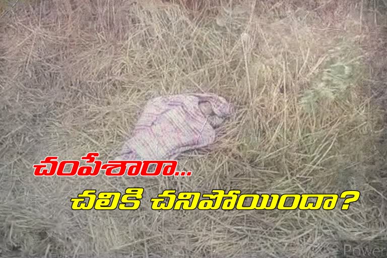 new-born-baby-girl-dead-body-found-at-kondapur-in-chilkur-mandal-suryapet-district