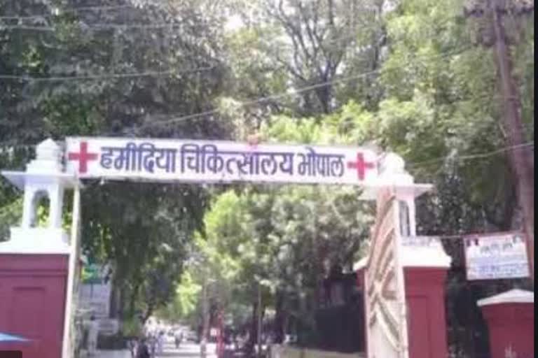 Hamidia Hospital