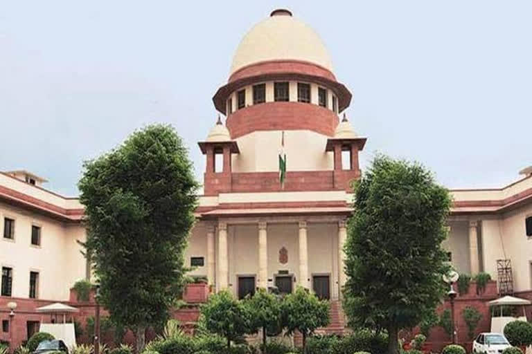 Plea in SC for draft legislation prior to Parliament enactment