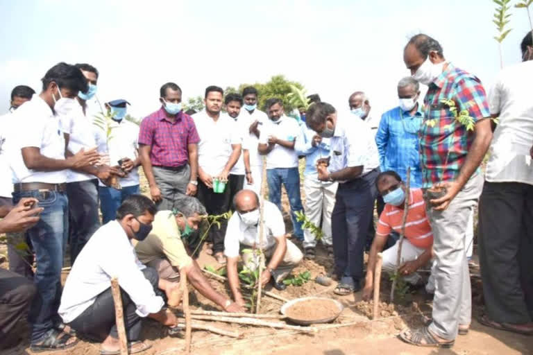 திருச்சி அருகே 1.5 லட்சம் மரக்கன்றுகள் நடும் பணி