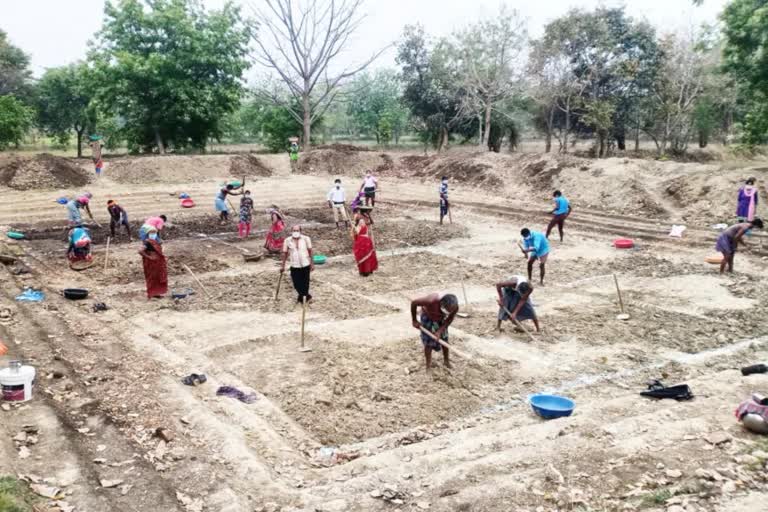 haryana-government-spent-621-crores-mnrega