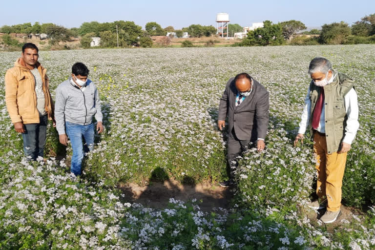 Officers observing crops