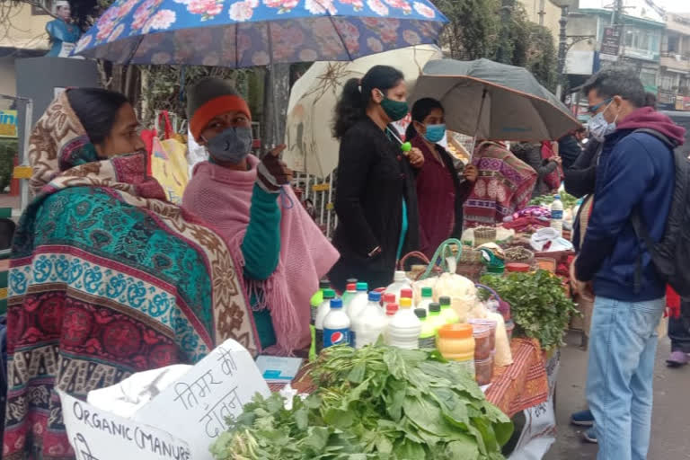 Women  selling hill products under open roof in solan