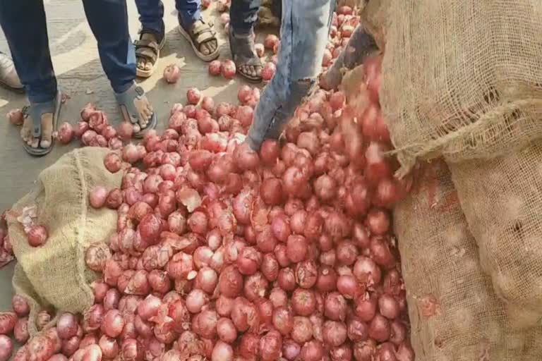 Onion rate Solapur