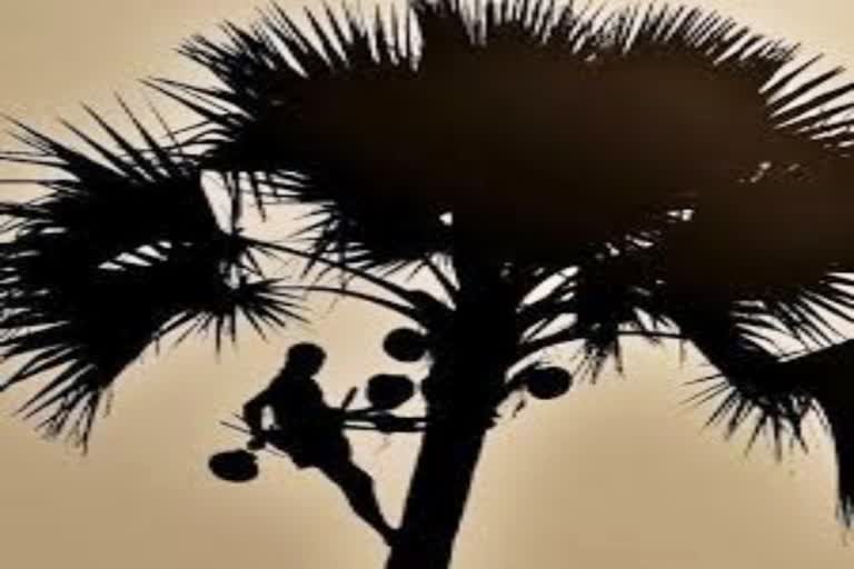 man-died-from-a-palm-tree-at-yadadri-bhuvanagiri-district