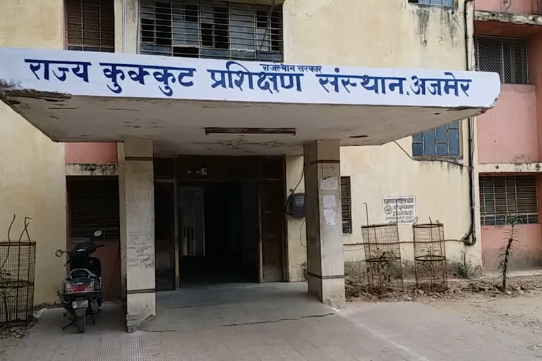 ajmer veterinary hospital, new veterinary hospital ajmer