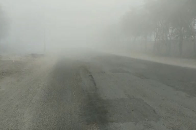 Shadow Fog in Bikaner, Bikaner in the fog, Shadow fog in Bikaner for second consecutive day,  बीकानेर की खबर, बीकानेर में छाया घना कोहरा, कोहरे की आगोश में बीकानेर, लगातार दूसरे दिन बीकानेर में छाया कोहरा