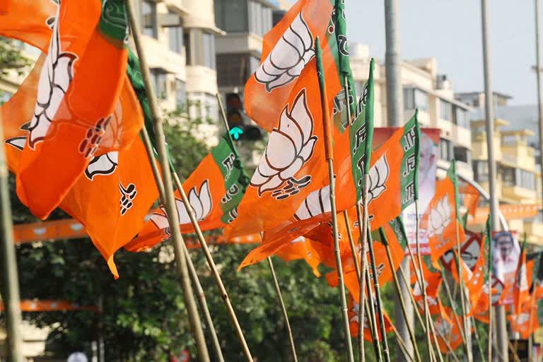 bjp candidate will file nomination for chandigarh mayor seat today