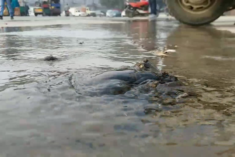 water leakage outside mcd office at rajauri garden in west delhi