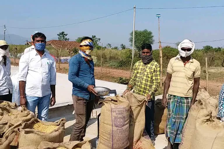 paddy procurement in chhattisgarh