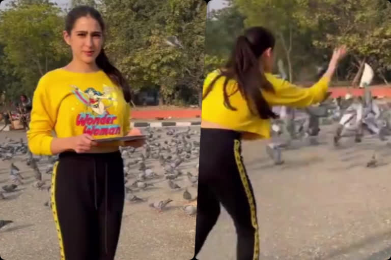 Sara Ali Khan feeds pigeons DDLJ style - watch video