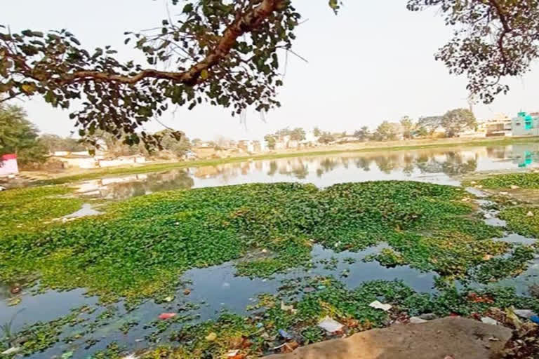 Jora Pond will be developed by Raipur Smart City Limited