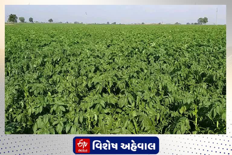 સાબરકાંઠાના વડાલી કંપાના ખેડૂતોનું કૃષિ બિલને સમર્થન