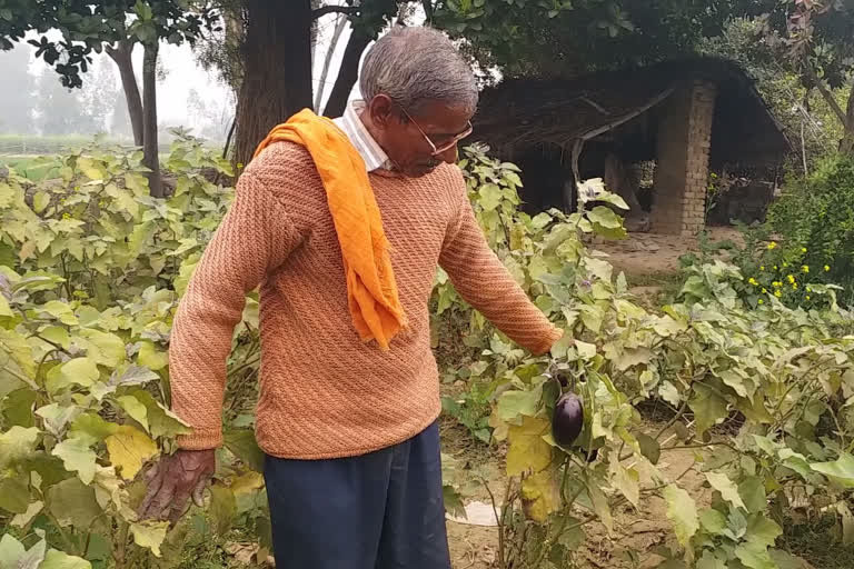 यूपी के कई जिलों में बारिश का अलर्ट