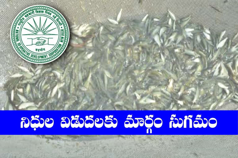 NCDC for purchase of fish seed