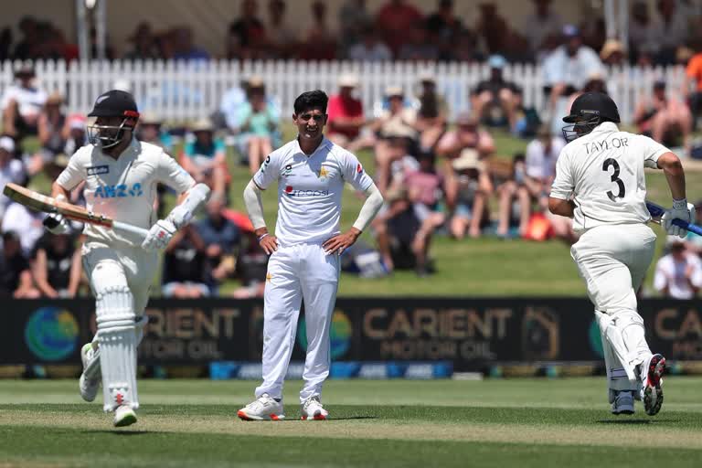 New Zealand vs Pakistan