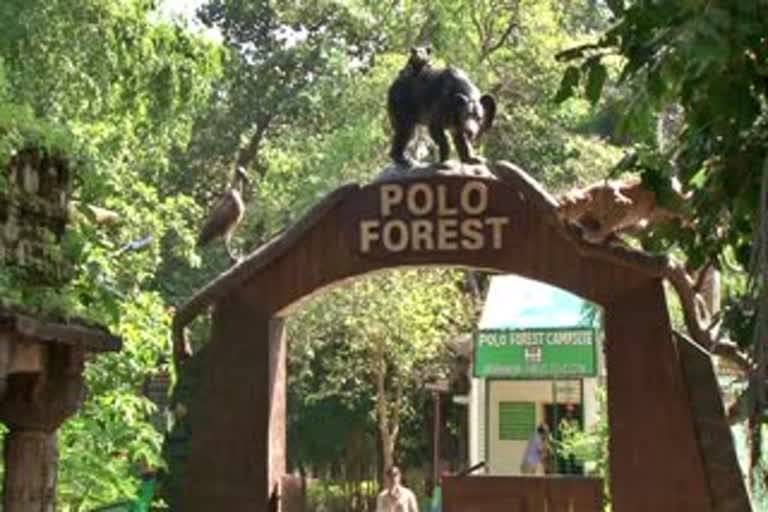 Etv Bharat, Gujarati News, Polo Forest