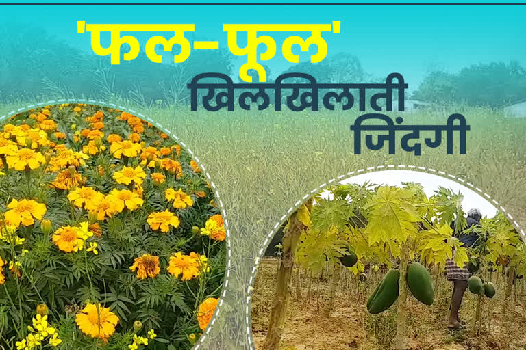 farming-of-fruits-and-flowers-in-lohardaga