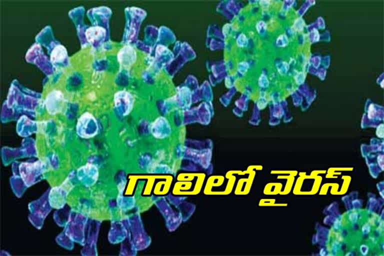 corona virus in air in hdyerabad