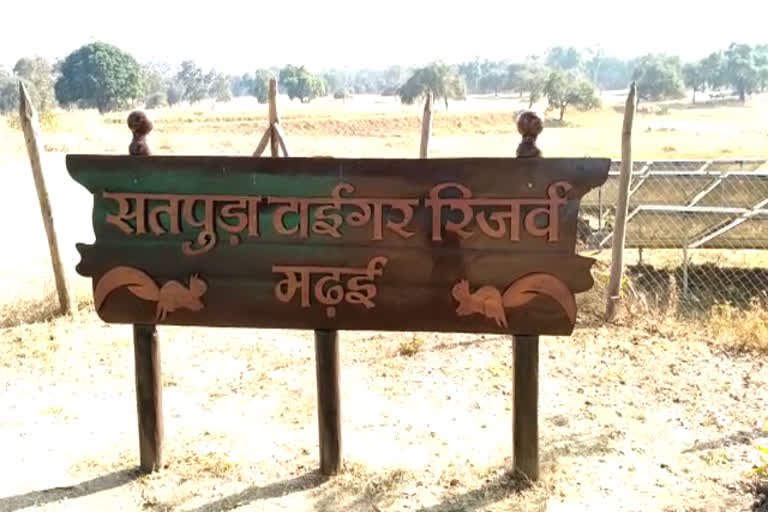 Satpura Tiger Reserve