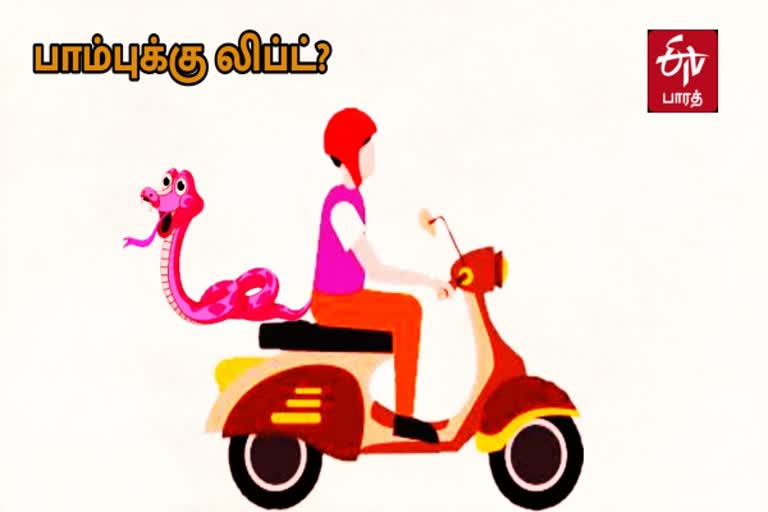 இருசக்கர வாகனத்தில் லிப்ட் கேட்ட பாம்பு  Young man tensed by a snake hearing a lift on a two-wheeler  Snake Lift  நல்ல பாம்பு  இருசக்கர வாகனம் பாம்பு  Snake with Two Wheeler