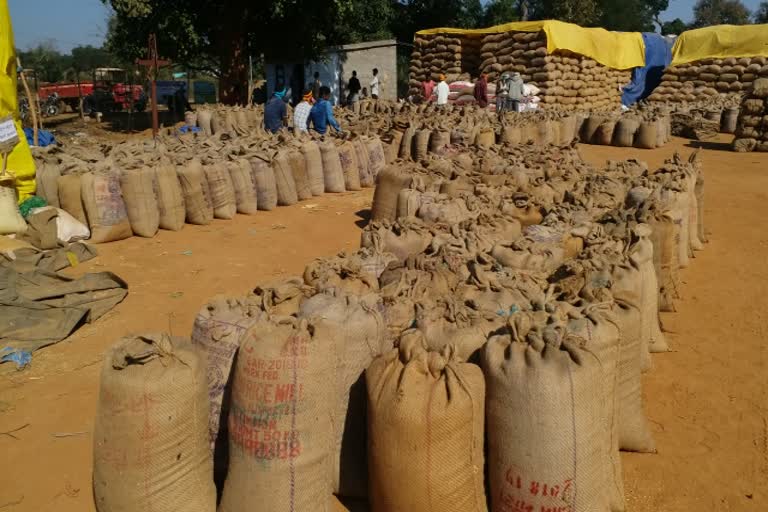 Paddy jam situation may occur in Jagdalpur