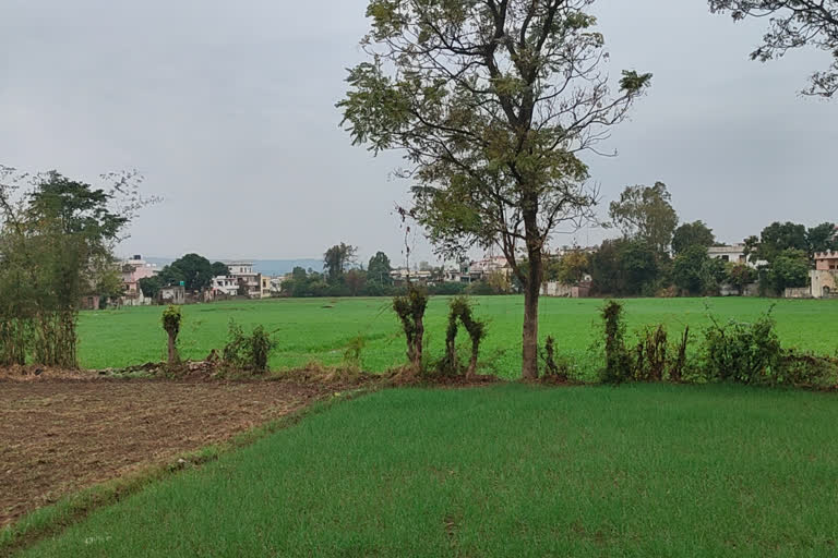 pleasant weather  after heavy rain in Paonta Sahib