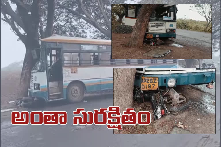 rtc bus hits tree in nellore