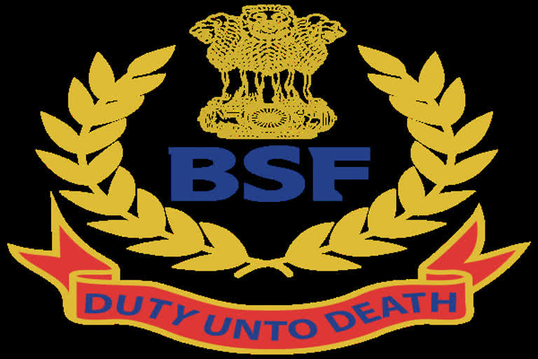 BSF caught 9 Bangladeshis crossing border illegally