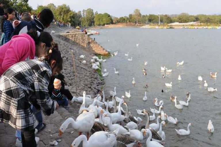 sukhna lake