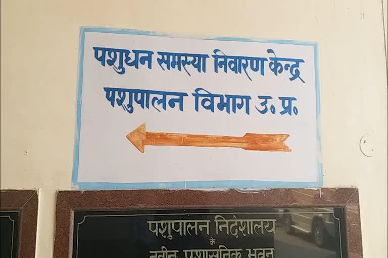 पशुपालन विभाग