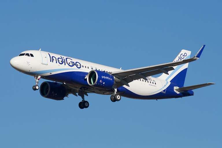 IndiGo to fly