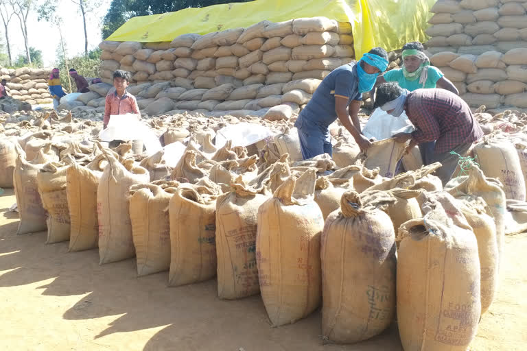 paddy purchase in chhattisgarh