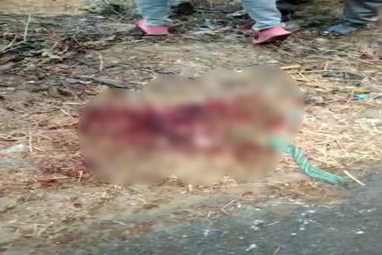 उदयपुर में युवक का शव, dead body of youth in udaipur